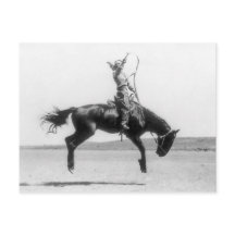 Joven Rodeo en una foto cosecha de caballos