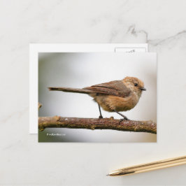 Postal Joven y lindo Bushtit en el árbol híbrido de fruta