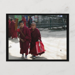 Postal Jóvenes monjes budistas tibetanos, Dharamsala, Ind
