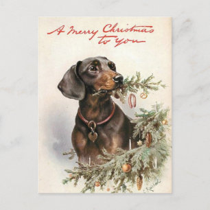 Postal Joyeux Noël chien Teckel