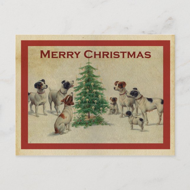 Postal Joyeux Noël chiens (Anverso)