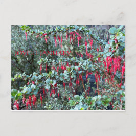 POSTAL ¡JOYFUENTE EN ENERO!