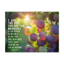 Juan 15:5 Yo soy el Vino Tú eres las ramas Jesús