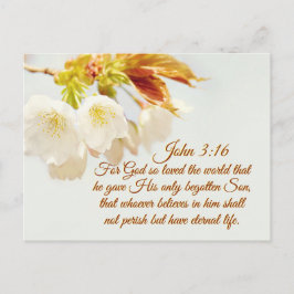 Postal Juan 3:16 Dios amó tanto el mundo, las escrituras