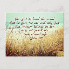 Postal Juan 3:16 Por Dios tan amado el mundo, Biblia Vers
