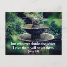 Juan 4:14 Quien beba el agua que doy la Biblia