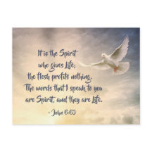 Juan 6:63 Las palabras que hablo son espíritu y vi