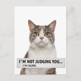 Postal Judging Cat Sarcastic Quote Minimal Art
