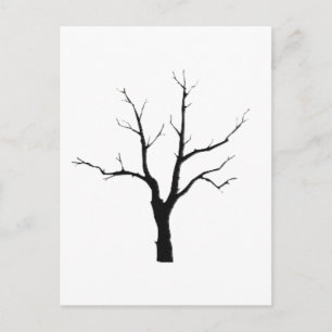 Postal Juego de blanco y negro del árbol de invierno