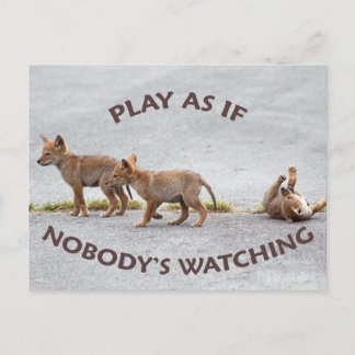 Postal Juego de Coyotes para Bebés