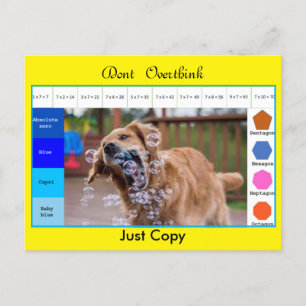 Postal Juegos educativos divertidos para perros