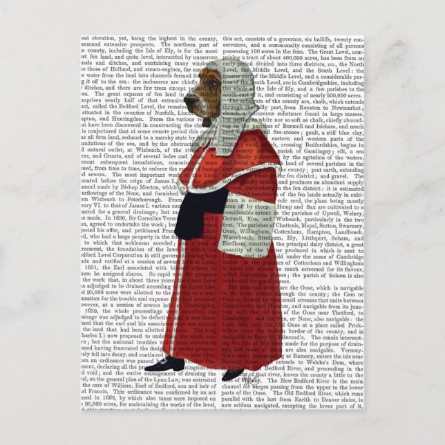 Postal Juez de helio de Basset (Anverso)