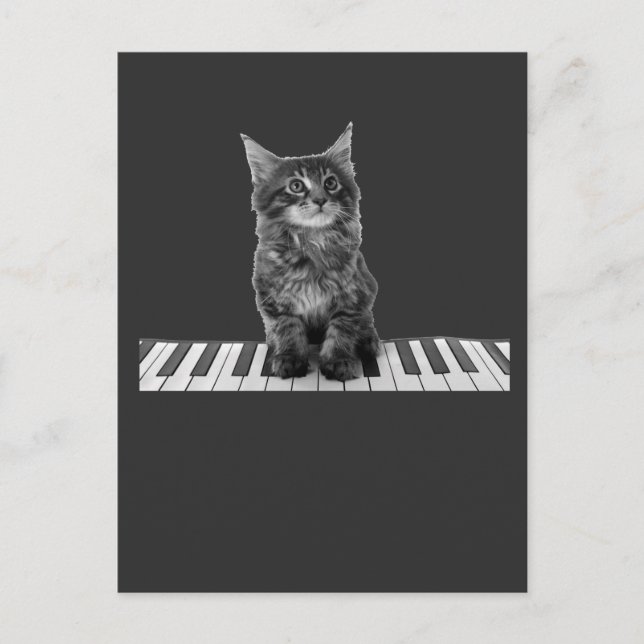 Postal Jugador de teclado de Piano Gato de Cute (Anverso)