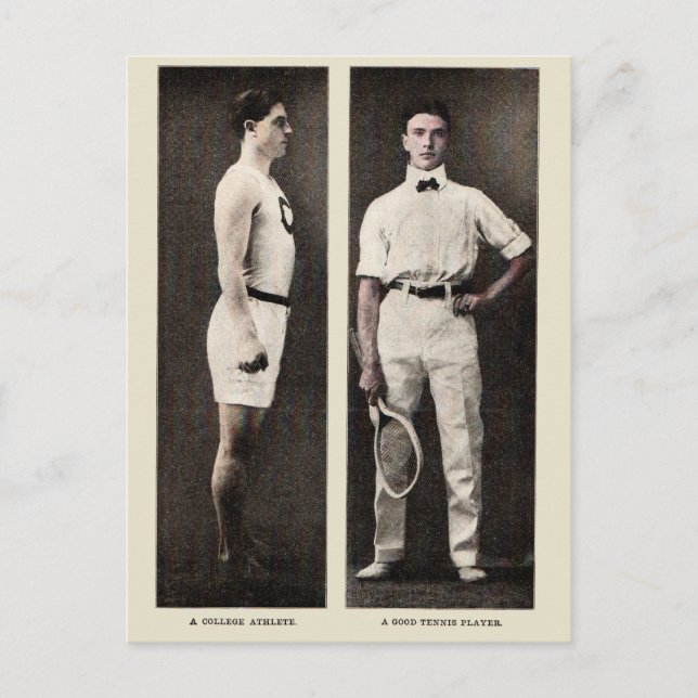 Postal Jugador de tenis de campaña Pro (Anverso)