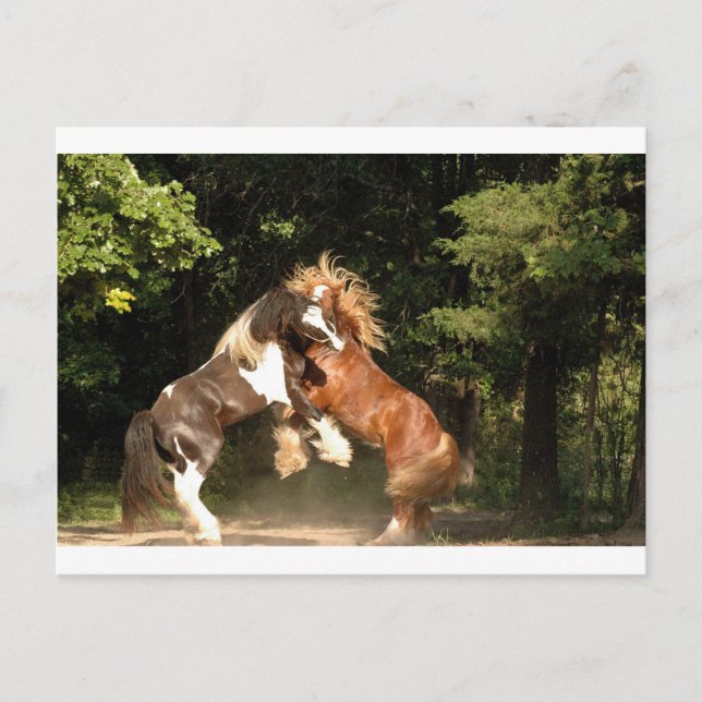 Postal Jugando al atardecer (Anverso)