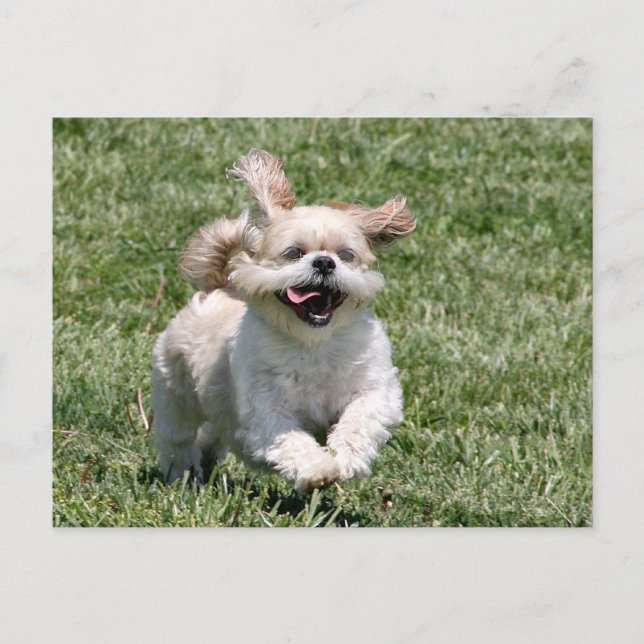 Postal Juguemos juntos (Anverso)