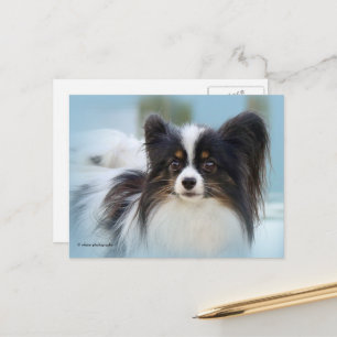 Postal Juguete de Papillon lindo perro español en el muel