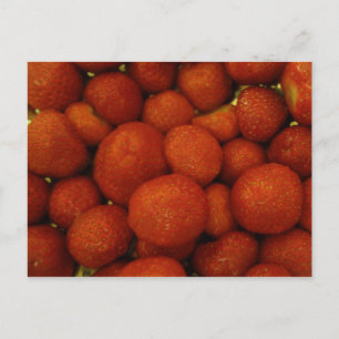 Postal Juicy Strawberries Postcard