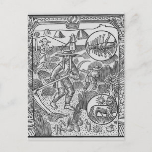 Postal Julio, fabricación de herradura, cáncer