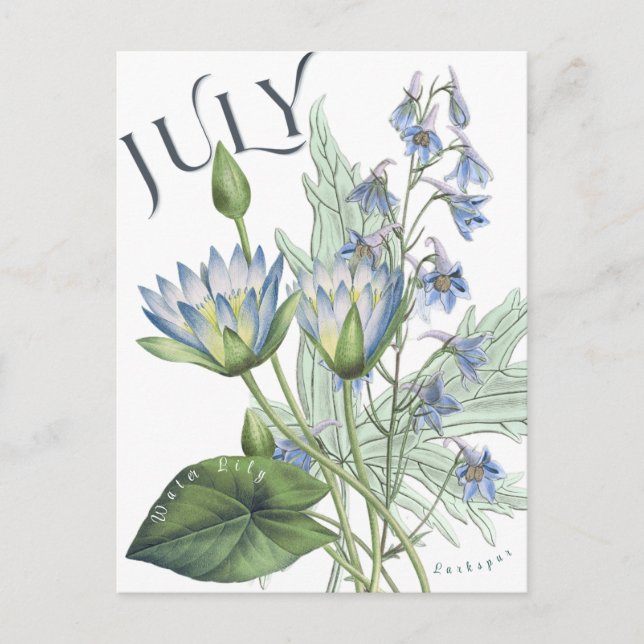 Postal Julio Mes Flores Larkspur Agua Lily Fancy (Anverso)