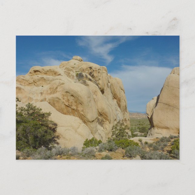 Postal Jumbo Rocks en el Parque Nacional Joshua Tree (Anverso)