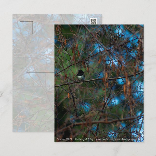 Postal Junco (Anverso / Reverso)