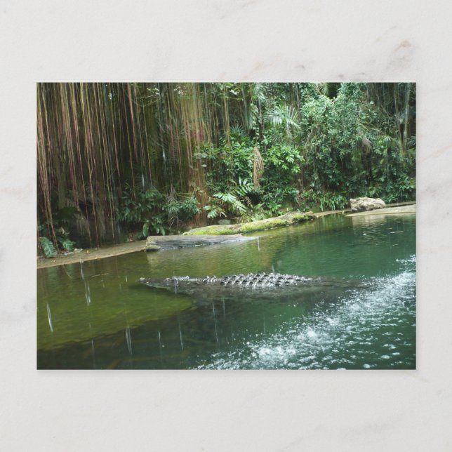 Postal Jungla (Anverso)