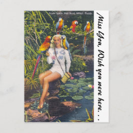 Postal Jungla de loro, Miami, Florida