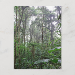 Postal jungla verde