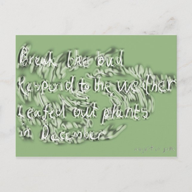 Postal junio (Anverso)