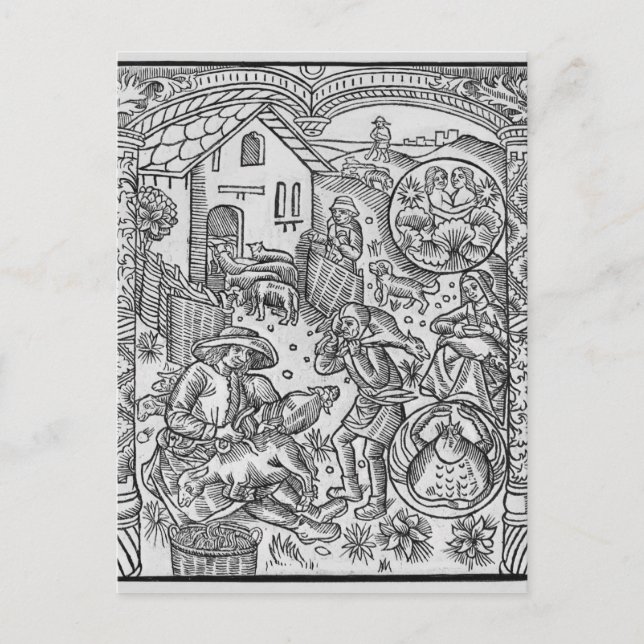 Postal Junio, esquileos, géminis (Anverso)