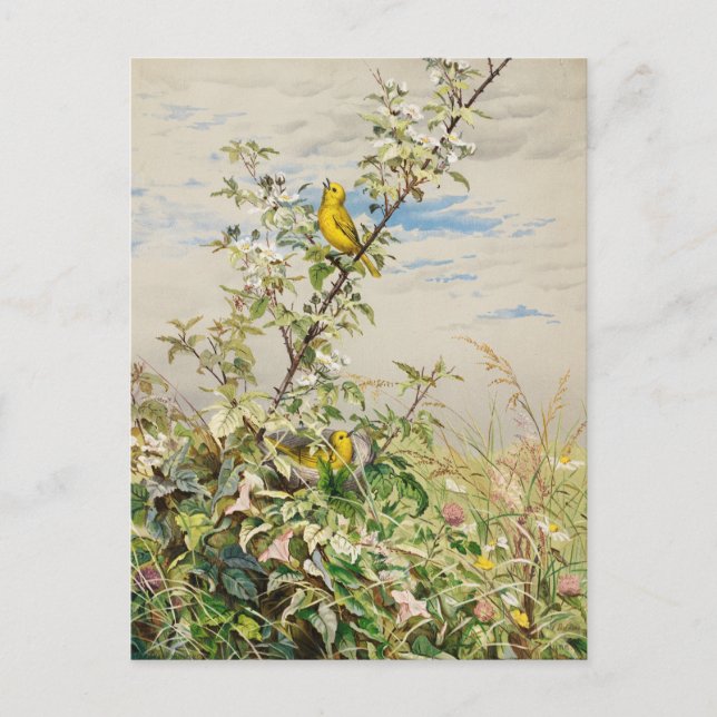 Postal Junio | Fidelia Bridges (Anverso)