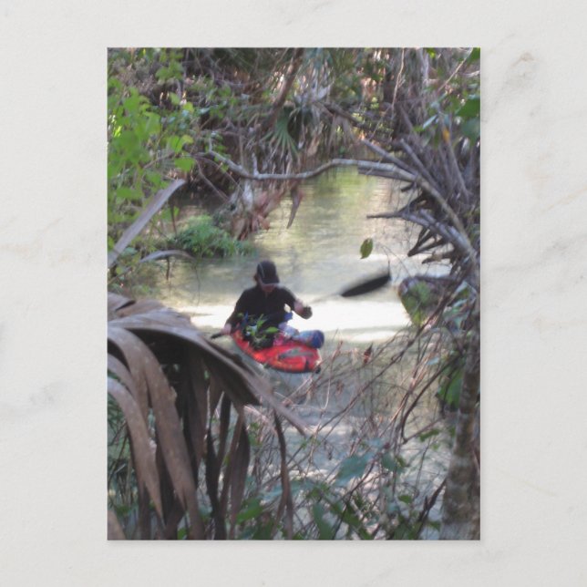 Postal Juniper Springs, Fl (Anverso)