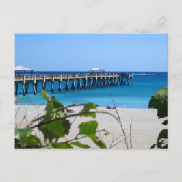 Postal Juno Beach Pier