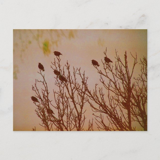 Postal Juntar (Anverso)