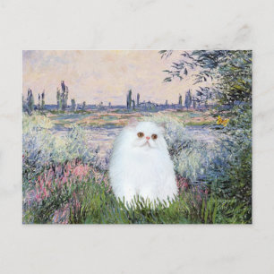 Postal Junto al Sena - Gatito persa blanco #49