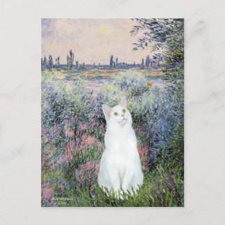 Postal Junto al Sena - Gato blanco