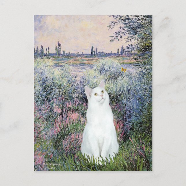 Postal Junto al Sena - Gato blanco (Anverso)