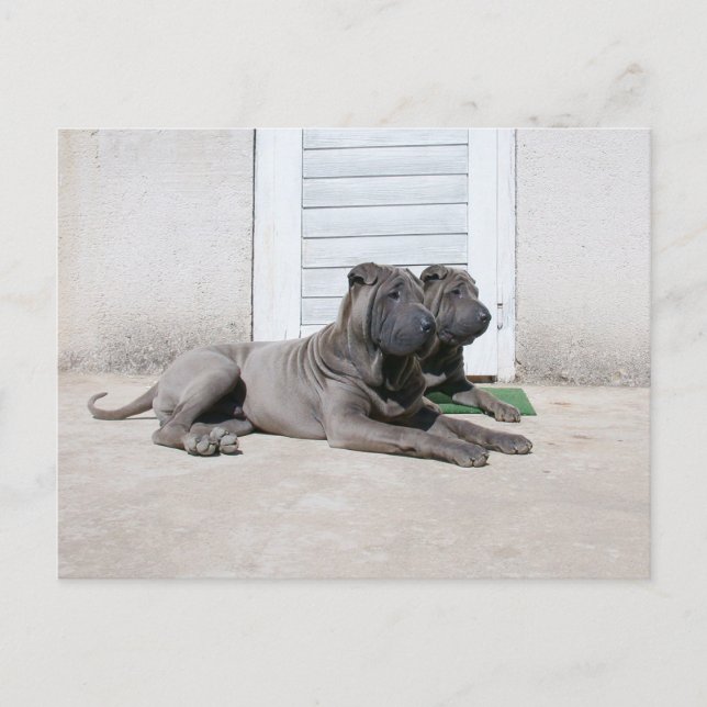 Postal Juntos (Anverso)