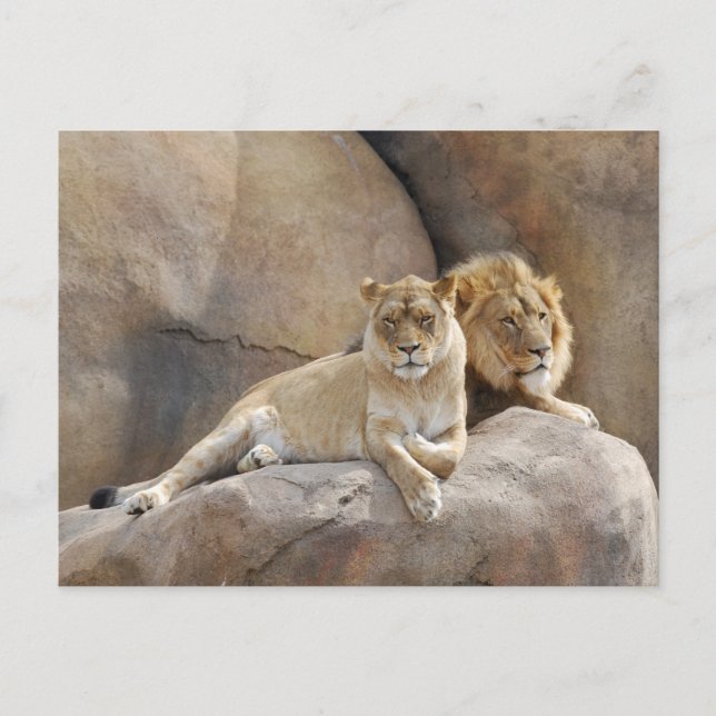 Postal Juntos (Anverso)