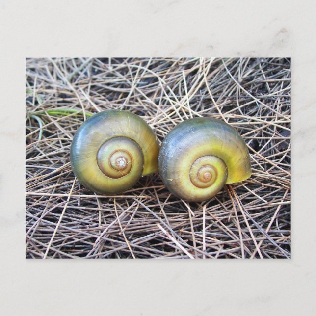 Postal Juntos cálidos (Anverso)