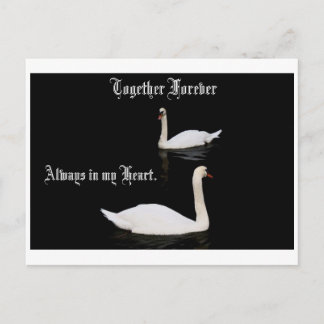 Postal Juntos Por Los Cisnes.