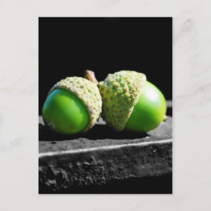 Postal Juntos por siempre