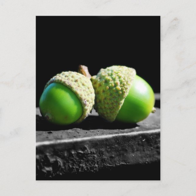 Postal Juntos por siempre (Anverso)