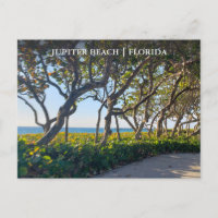 Júpiter Florida postcard Ocean Pier y las uvas mar