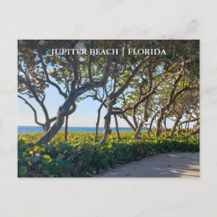 Postal Júpiter Florida postcard Ocean Pier y las uvas mar