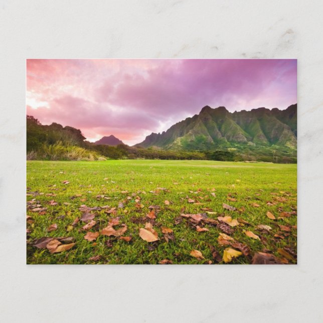 Postal Jurásico Sunset (Anverso)