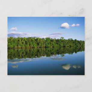 Postal Juruena, Brasil. Orilla del río boscosa reflejada
