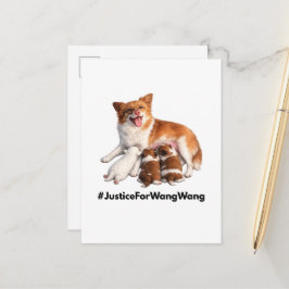 Postal Justice for Wang Wang