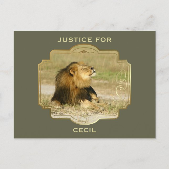 Postal Justicia para Cecil: el león asesinado en África (Anverso)